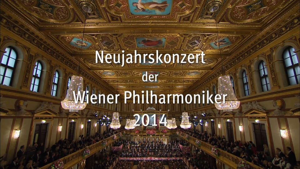 Neujahrskonzert 2014 (2)