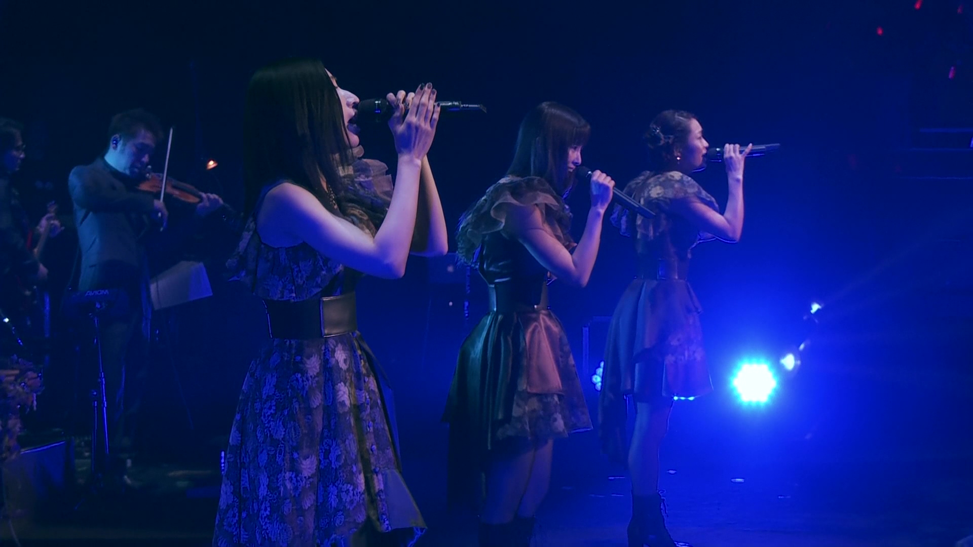 [Euphonia] Kalafina - 「リスアニ！LIVE-4」2014年1月26日@日本武道館 (1920x1080 AVC-yuv420p10 FLAC).mkv_20210101_215305.526