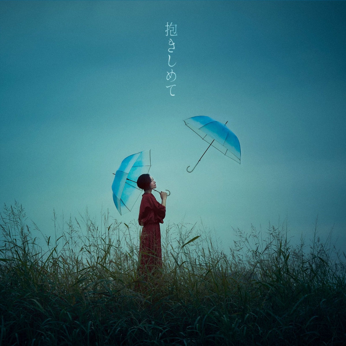坂本真綾 - 抱きしめて Maaya Sakamoto - Dakishimete 2024 付属 坂本真綾 - 抱きしめて Maaya Sakamoto - Dakishimete 2024 付属