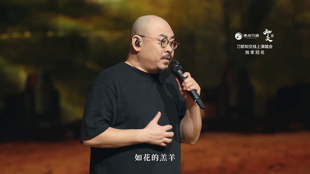 刀郎 2024 山歌响起的地方·刀郎知交线上演唱会 4K横屏版 [WEBDL MP4 10GB] 蓝光演唱会
